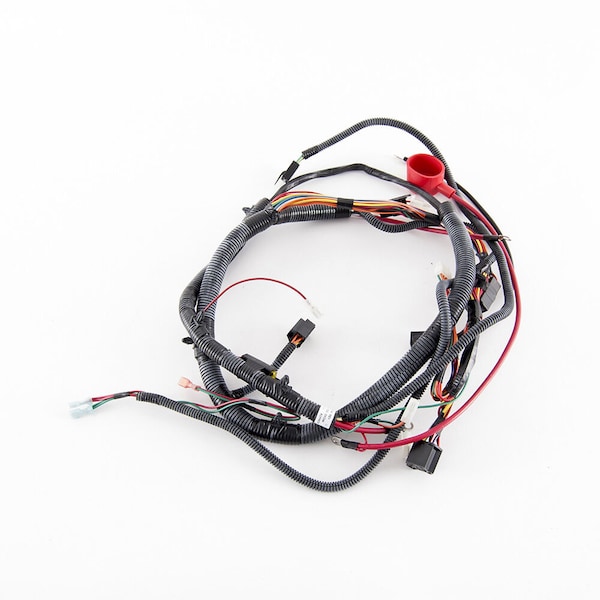 Harness-Main E-Pt